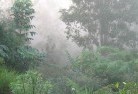 Hillside WAlandscaping-irrigation-4.jpg; ?>